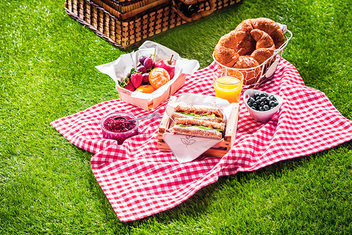Canasta de picnic