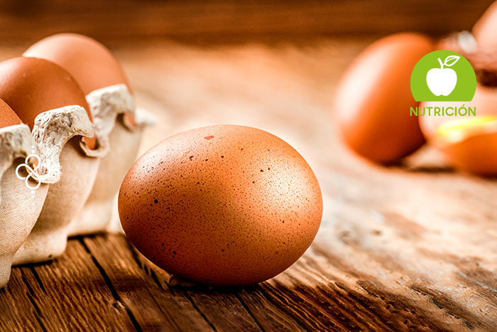 Beneficios y propiedades del huevo